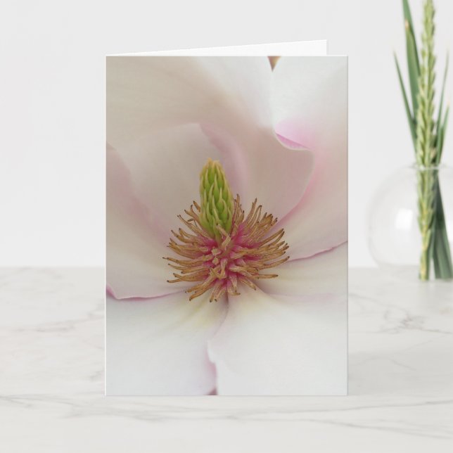 Cartão De Festividades Placa Magnolia White Blossom Card Personalize (Frente)