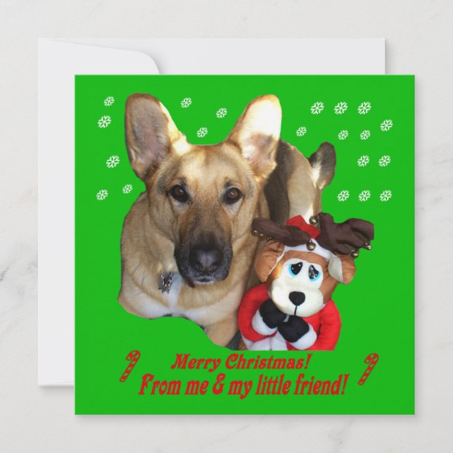 Cartão De Festividades Placa plana para Realizador de german shepherd e B (Frente)