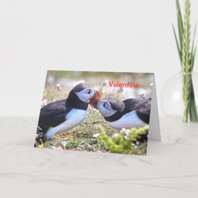Cartão De Festividades Placa Puffins de Beijo - Namorados (Frente)