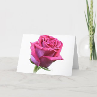 Cartão De Festividades Placa rosa Bud Rosa