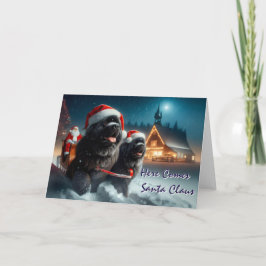 Cartão De Festividades Placa Sleigh de Papais noeis de Puxação de Cães na