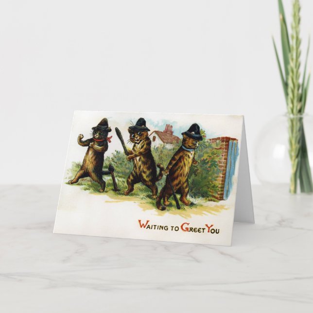 Cartão De Festividades Placa Vintage Cats (Frente)