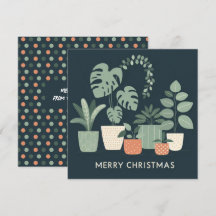 Plantas De Laranja Verde-Vedadas De Chritmas