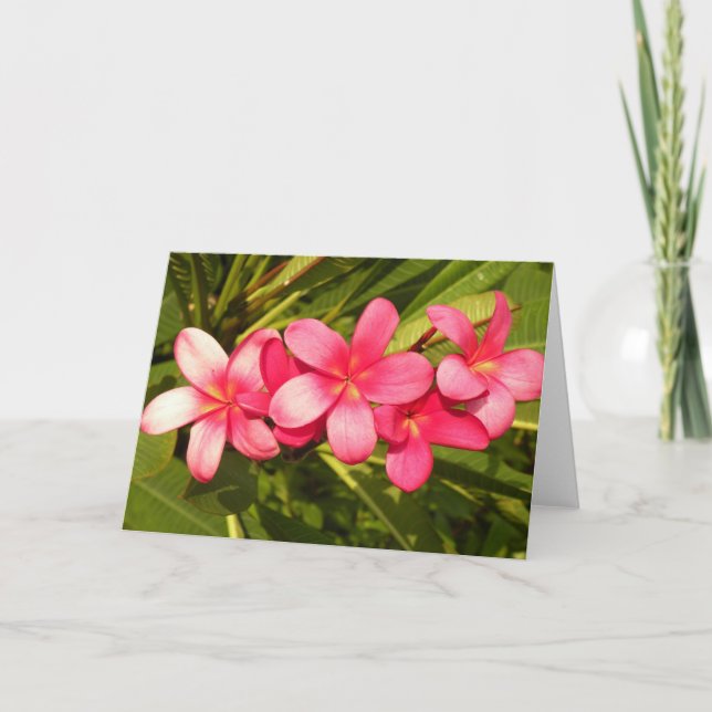 Cartão De Festividades Plumeria (Frente)