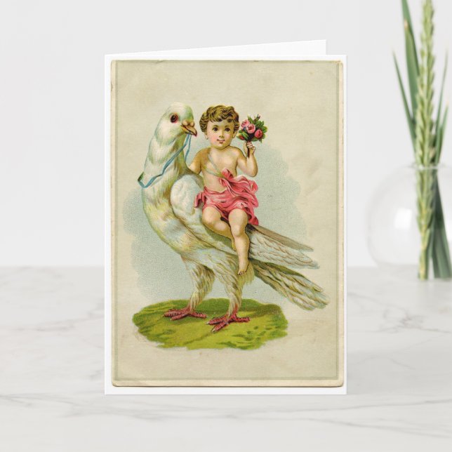 Cartão De Festividades Pó de Cherub (Frente)