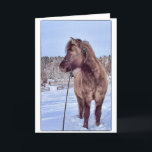 Cartão De Festividades Poder de cavalo islandês<br><div class="desc">O cavalo islandês todo o lucro desta loja vai para nossos cavalos do salvamento!</div>