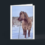 Cartão De Festividades Poder de cavalo islandês<br><div class="desc">O cavalo islandês todo o lucro desta loja vai para nossos cavalos do salvamento!</div>