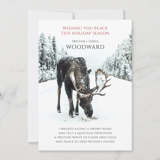 Cartão De Festividades Poema da Paz com Moose na Cena de Neve de inverno (Frente)