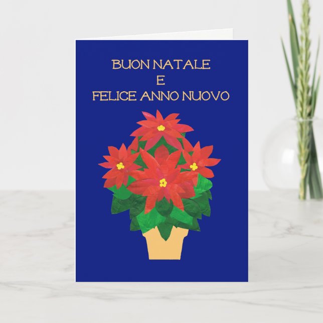 Cartão De Festividades Poinsétias vermelhas no cumprimento italiano azul (Frente)