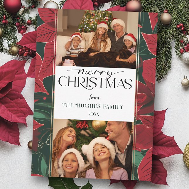 Cartão De Festividades Poinsettia Botânica 2-Foto de Natal Negrito (Criador carregado)