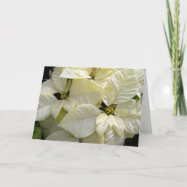 Cartão De Festividades Poinsettia Branca