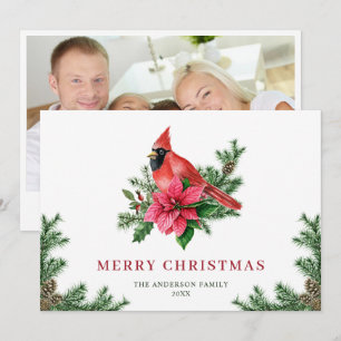 Cartão De Festividades Poinsettia Red Cardinho Saudação FOTO
