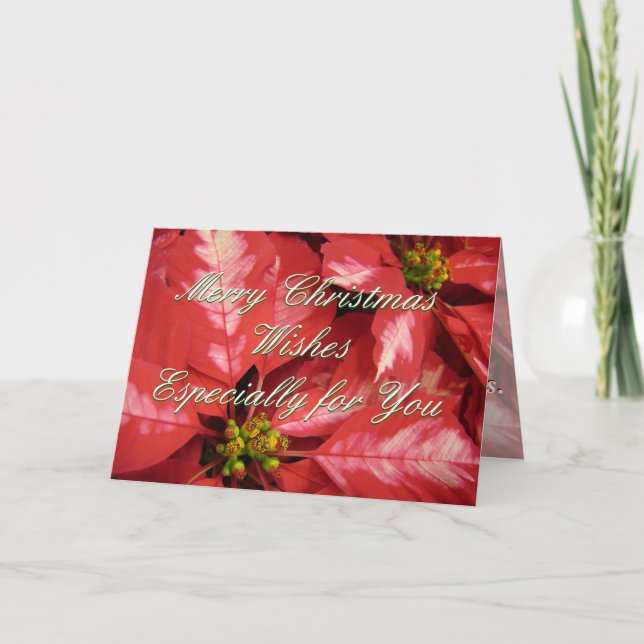 Cartão De Festividades PoinsettiaMC-personalize (Frente)