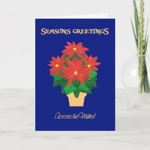 Cartão De Festividades Poinsettias Season's Greetings Across the Miles