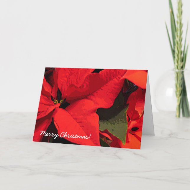 Cartão De Festividades Pointsettis Natal (Frente)