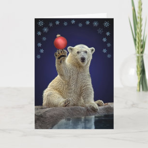 Cartão De Festividades Polar Bear Cub Holiday