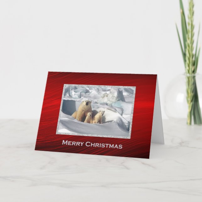 Cartão De Festividades Polar Bear Cubs Snow Foto de Natal (Frente)