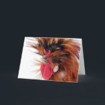 Cartão De Festividades Polonês Rooster Winter Snow Christmas<br><div class="desc">Fotografia de Angelandspot 2010 Polonês e eu saímos para jogar na neve por alguns minutos antes de voltar para o celeiro.</div>