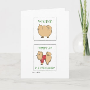 Cartão De Festividades Pomerânia em um suéter Knit Feliz Natal