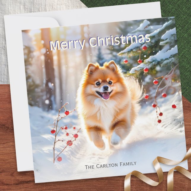 Cartão De Festividades Pomerânia - Imagem de Neve Cão Feliz Natal (A pretty, personalized Christmas card, with a picture of a cute Pomeranian dog in snow)