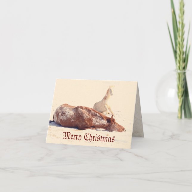 Cartão De Festividades Pôneis de inverno na neve (Frente)