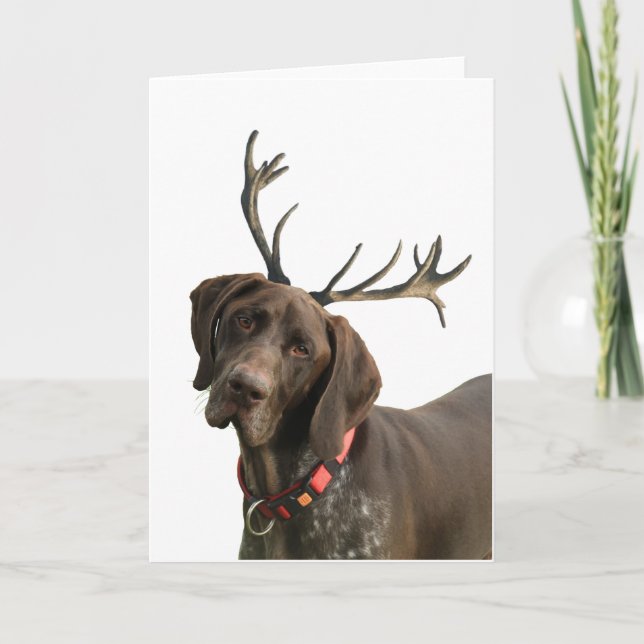 Cartão De Festividades Ponteiro Glossy Grizzly Reindeer (Frente)