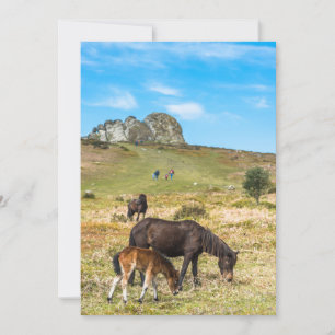 Cartão De Festividades Pony Haytor rock no Parque Nacional de Dartmoor De