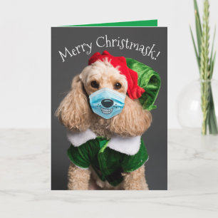 Cartão De Festividades Poodle Fofo Com Máscara Facial - Feliz Christmask!