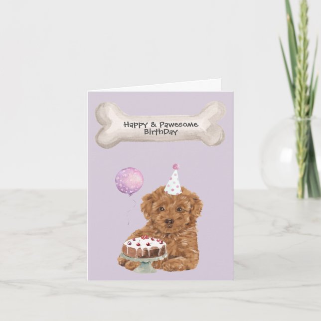 Cartão De Festividades Poodle Mix Cavapoo Birthday (Frente)