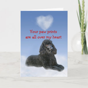 Cartão De Festividades Poodle Puppy Love Card