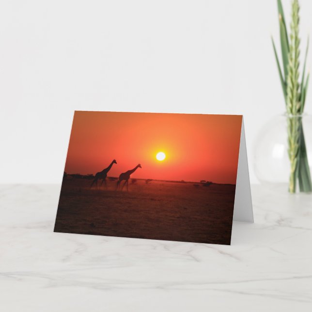 Cartão De Festividades Por do sol na bandeja de Nxai (Frente)