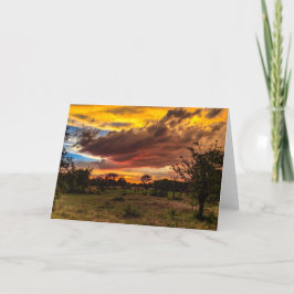 Cartão De Festividades Por do sol selvagem, África do Sul