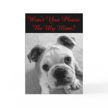 Por Favor, Seja Meu Namorados