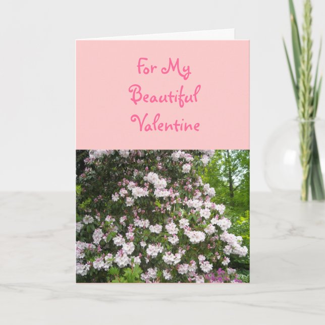 Cartão De Festividades Por Meu Belo Namorados (Frente)