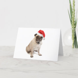 Cartão De Festividades Porco bege com chapéu vermelho de santa ativado