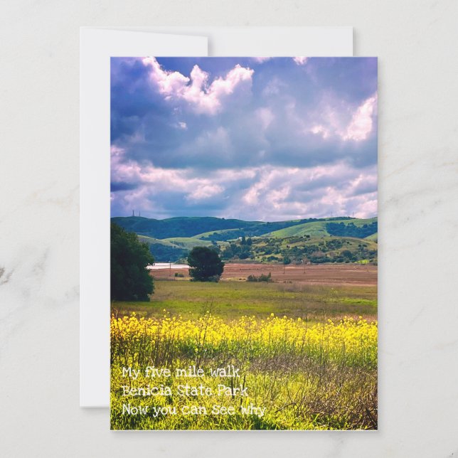 Cartão De Festividades pôrs do sol (Frente)