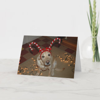 Cartão De Festividades Prazer do Natal!