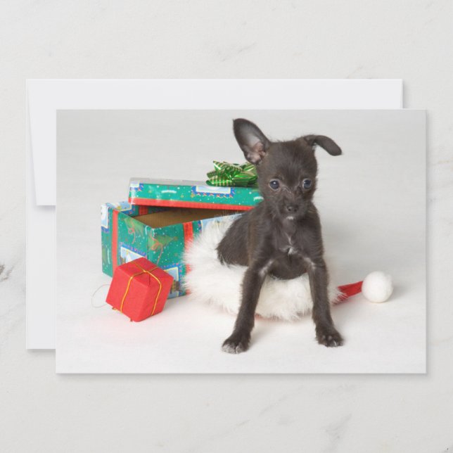 Cartão De Festividades Presente de Natal Canino (Frente)