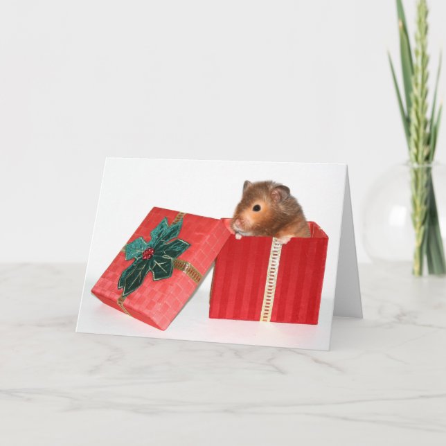 Cartão De Festividades Presente do Natal do hamster (Frente)