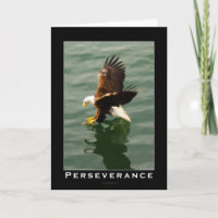 Presente Motivacional Da Águia Balda