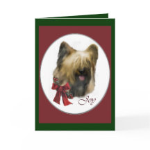Presentes de Natal Briard