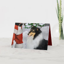 Presentes de Natal de Collie Rough Rough Tricolor