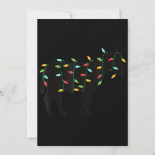 Cartão De Festividades Presentes de Natal Luzes Burro Zoo Amante do Anima