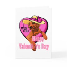 Presentes do dia dos namorados do setter irlandês