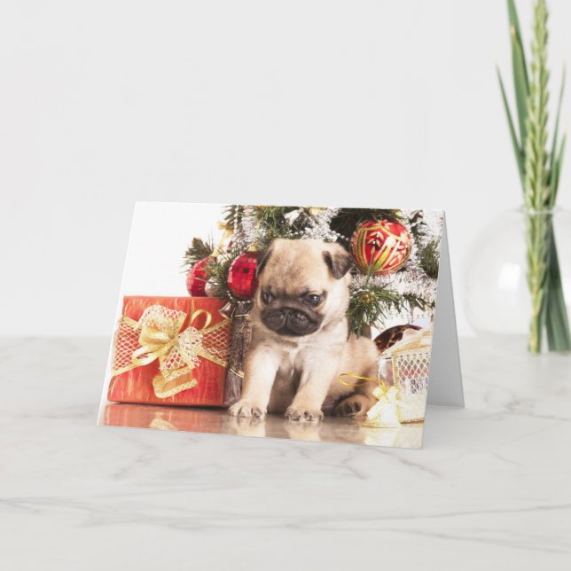Cartão De Festividades Presentes dos Pugs e do Natal (Frente)