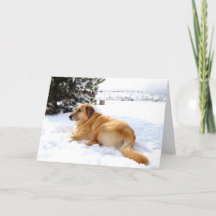 Cartão De Festividades Pretty Snowscape Golden Retriever Dog Scene