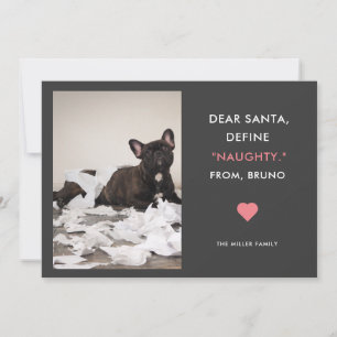 Cartão De Festividades Prezados Papais noeis Definem Foto De Pet Engraça