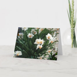 Cartão De Festividades Primavera Blossomo Três