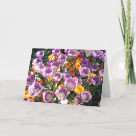 Cartão De Festividades Primavera Blossomo Um