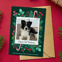 Primeira Foto de Natal de Puppy Verde Escuro